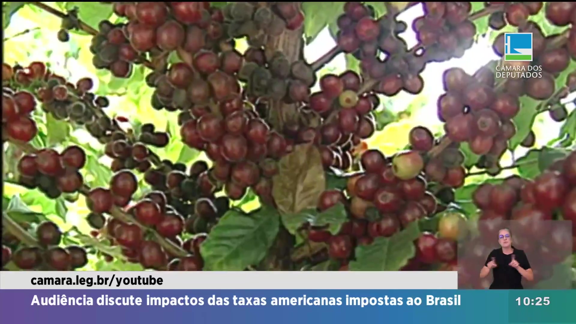 CLIP con IA 10AM 1 Exportações brasileiras aos EUA enfrentam sobretaxas de até 50%